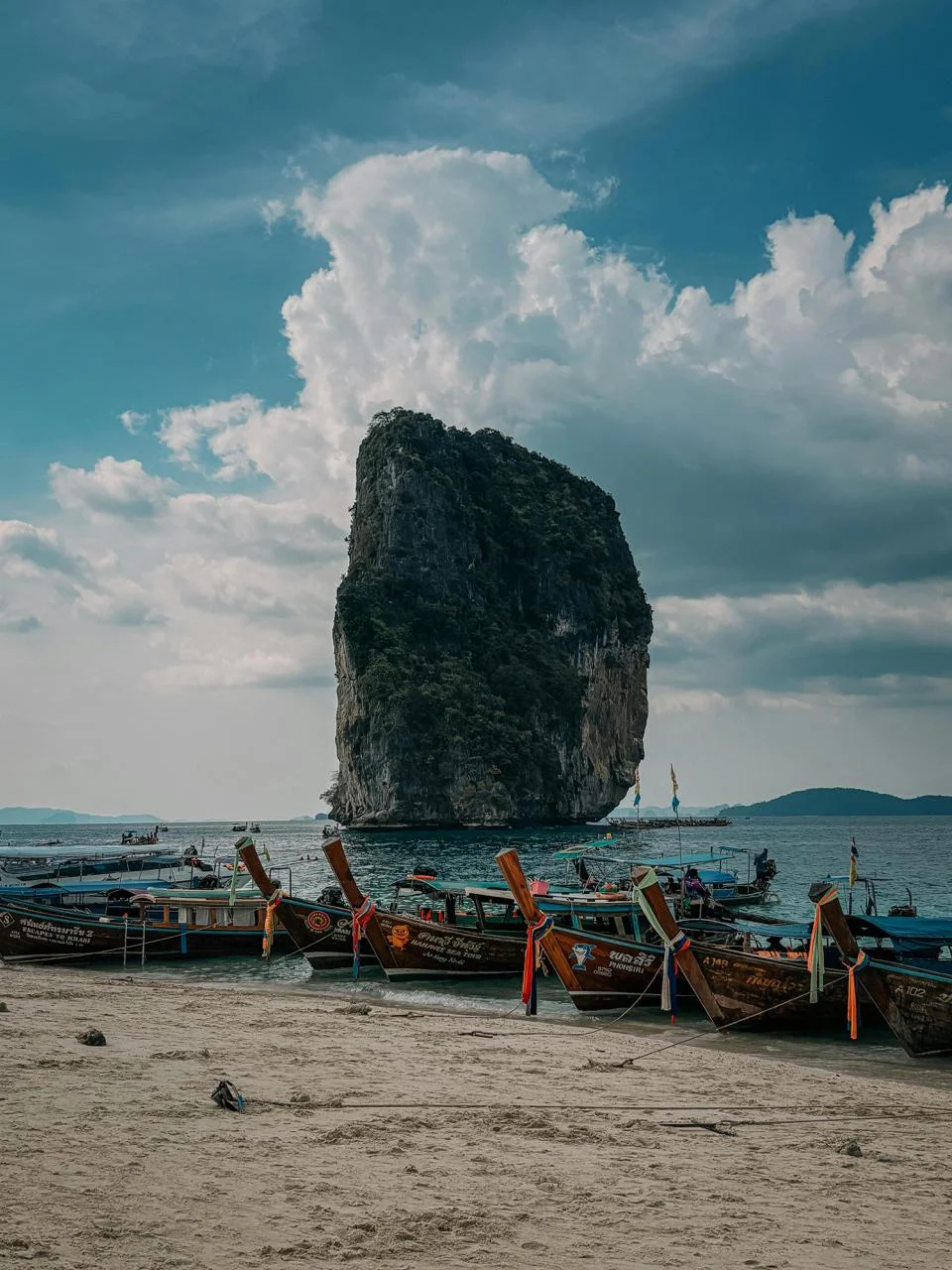 Krabi â Muay Thai training destination